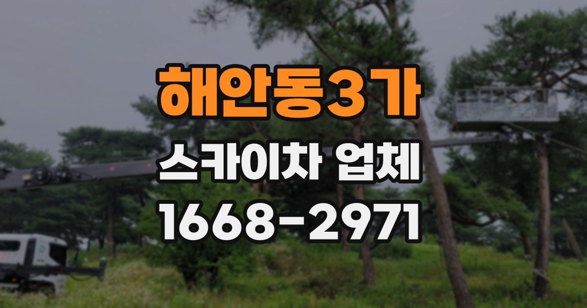 해안동3가 스카이차 업체