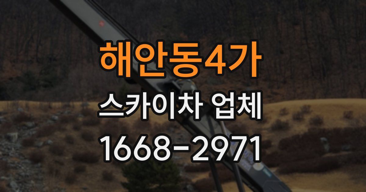 해안동4가 스카이차 업체