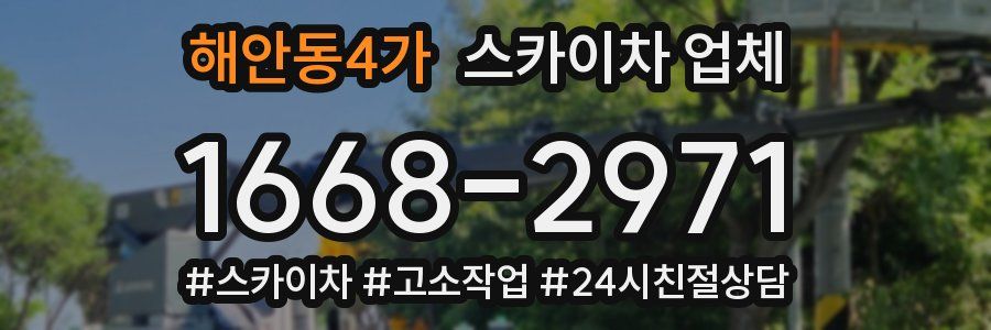 해안동4가 스카이차 업체