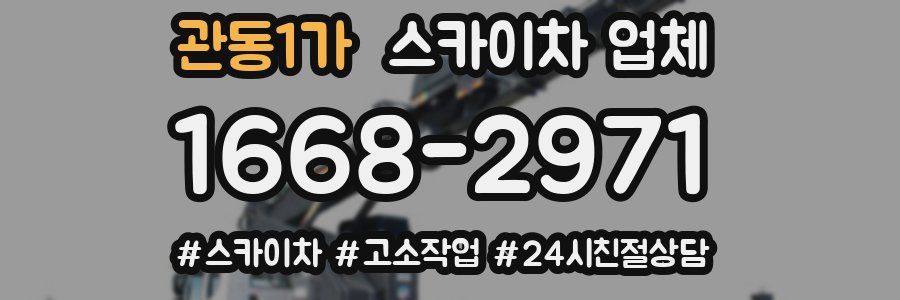 관동1가 스카이차 업체
