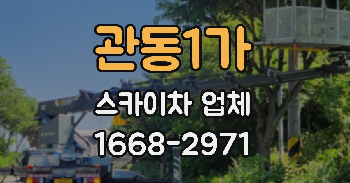 관동1가 스카이차 업체