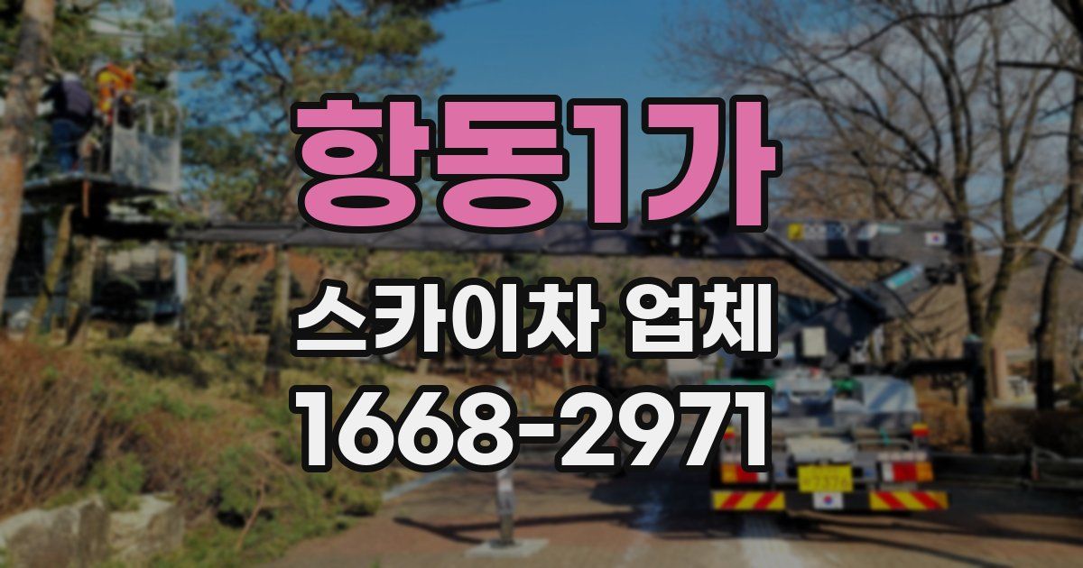 항동1가 스카이차 업체