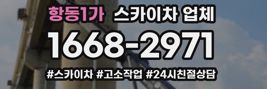 항동1가 스카이차 업체