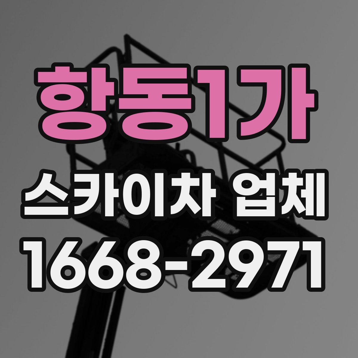 항동1가 스카이차 업체