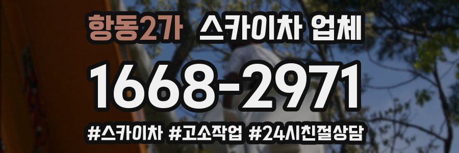 항동2가 스카이차 업체