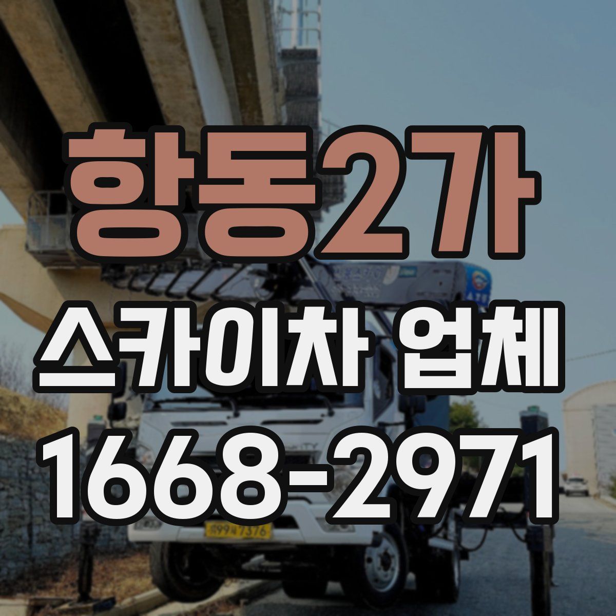 항동2가 스카이차 업체