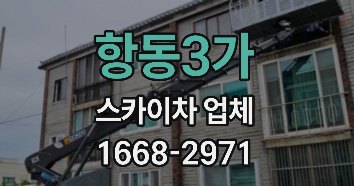 항동3가 스카이차 업체