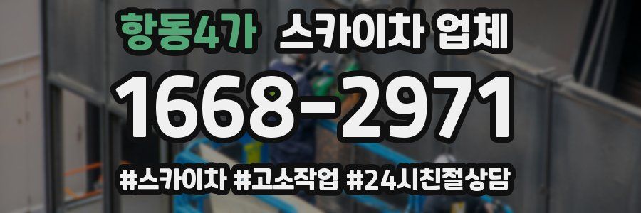항동4가 스카이차 업체