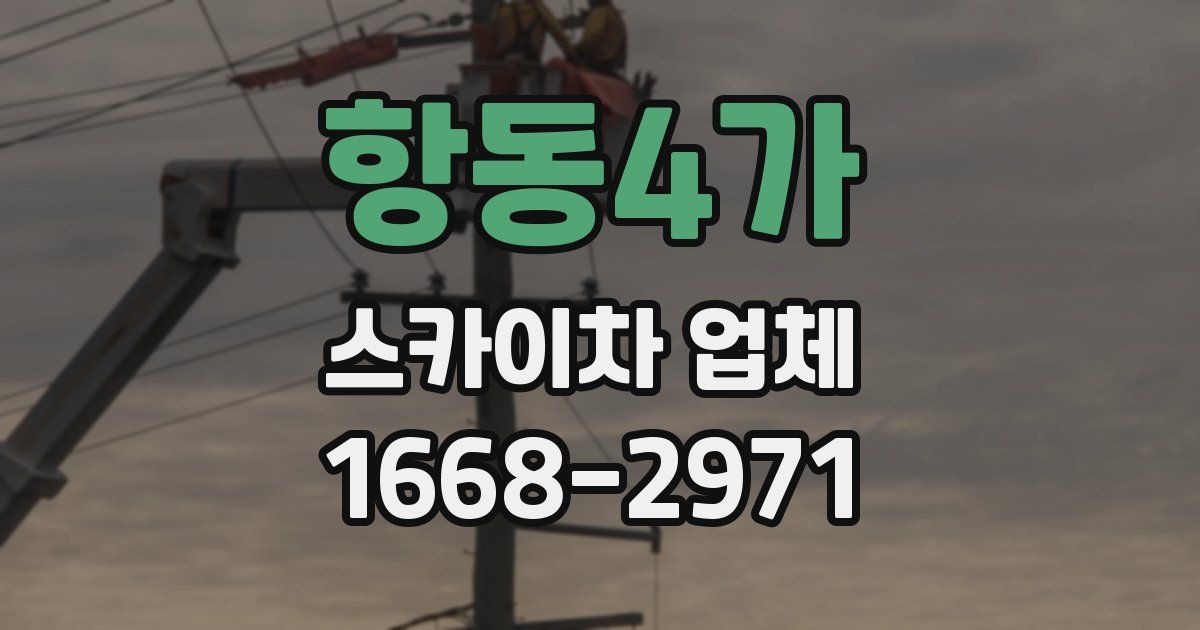 항동4가 스카이차 업체