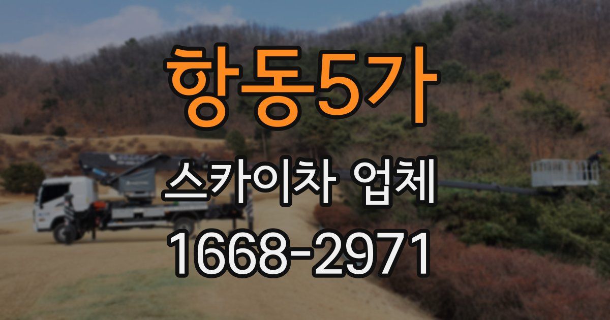 항동5가 스카이차 업체