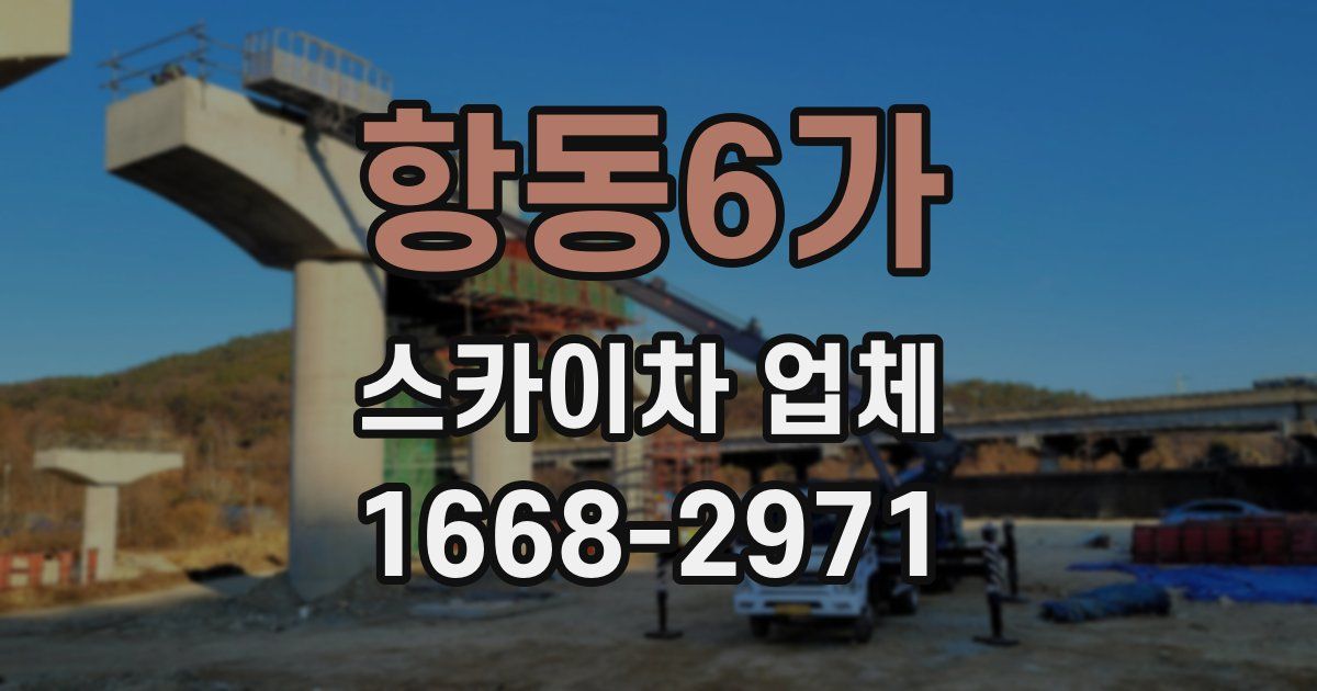 항동6가 스카이차 업체