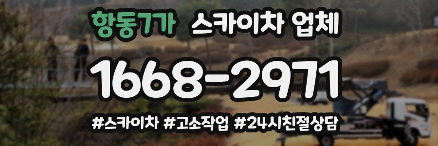 항동7가 스카이차 업체