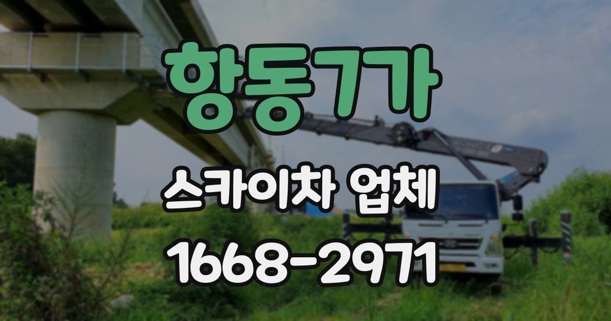 항동7가 스카이차 업체