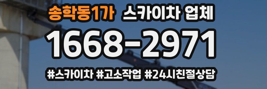 송학동1가 스카이차 업체