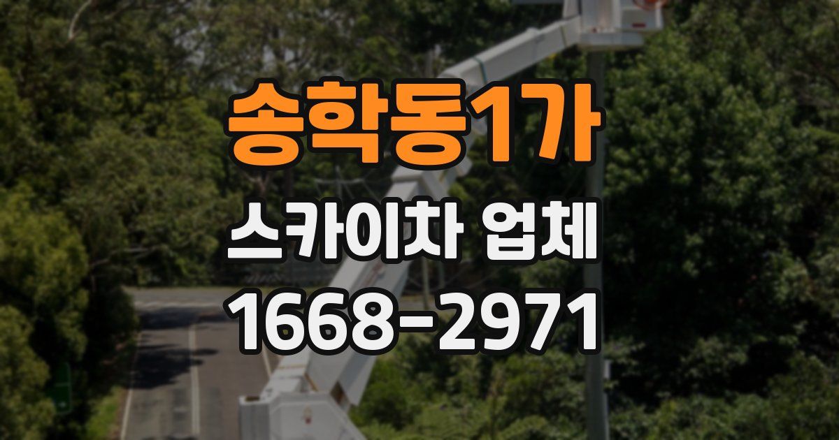 송학동1가 스카이차 업체