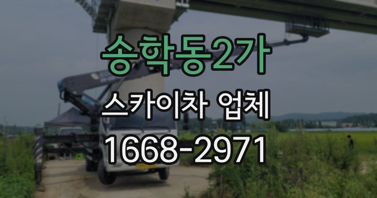 송학동2가 스카이차 업체