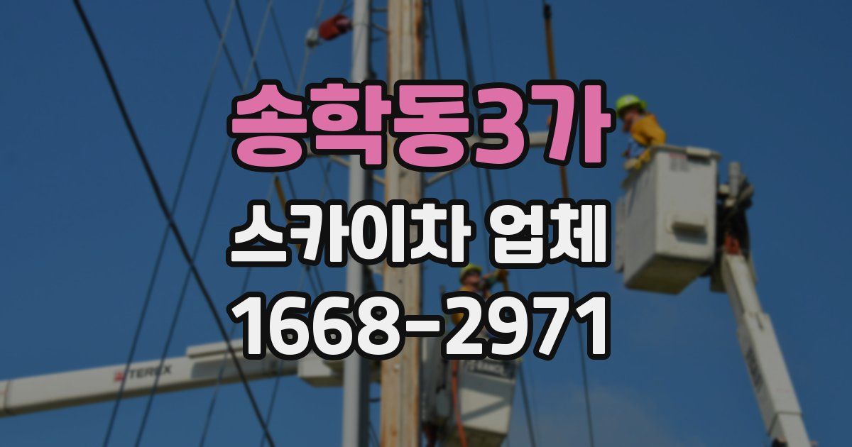 송학동3가 스카이차 업체