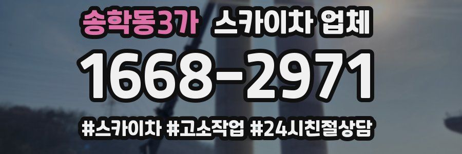 송학동3가 스카이차 업체