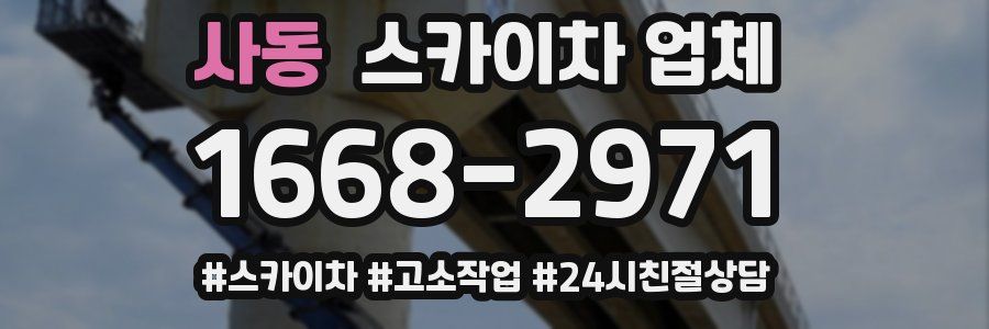사동 스카이차 업체
