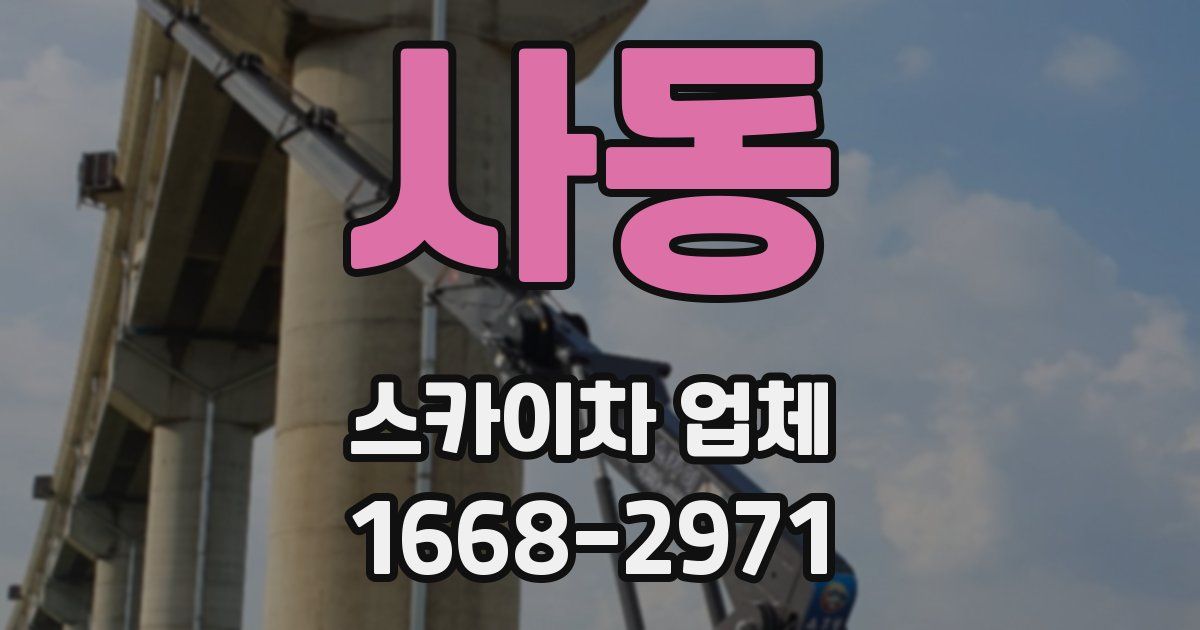 사동 스카이차 업체