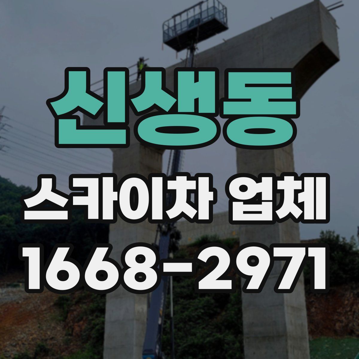신생동 스카이차 업체