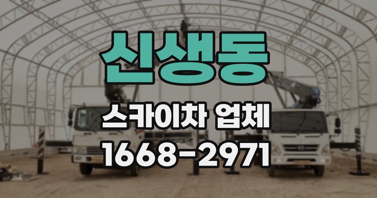 신생동 스카이차 업체