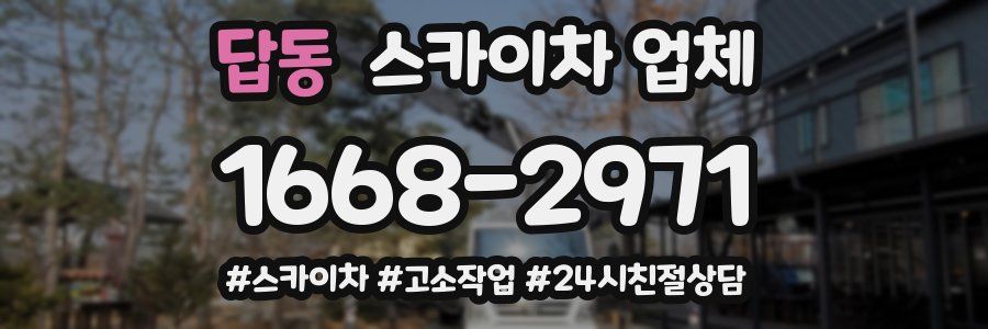 답동 스카이차 업체