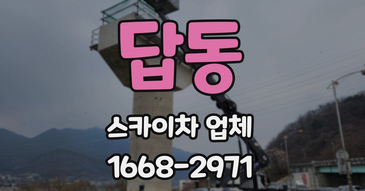 답동 스카이차 업체