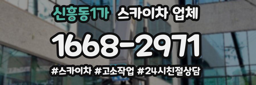 신흥동1가 스카이차 업체