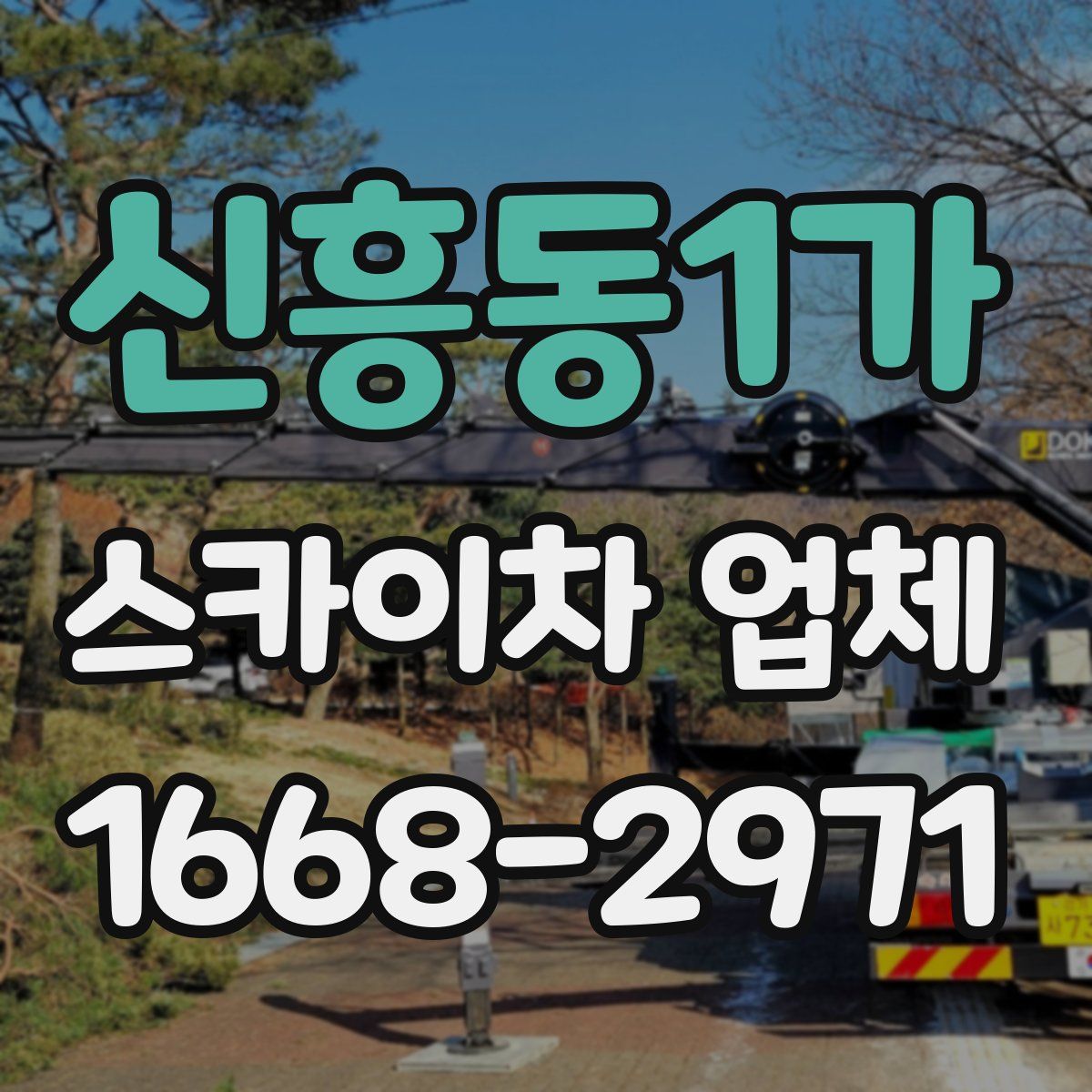 신흥동1가 스카이차 업체