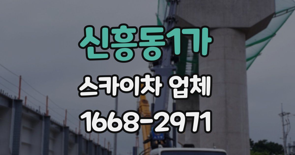 신흥동1가 스카이차 업체