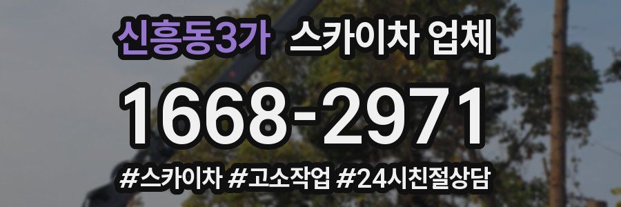 신흥동3가 스카이차 업체
