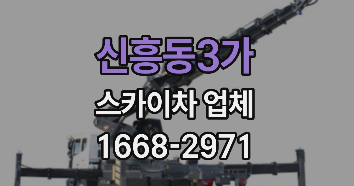 신흥동3가 스카이차 업체