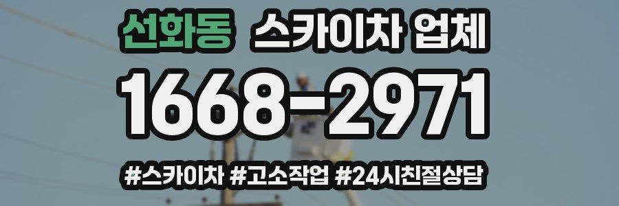 선화동 스카이차 업체