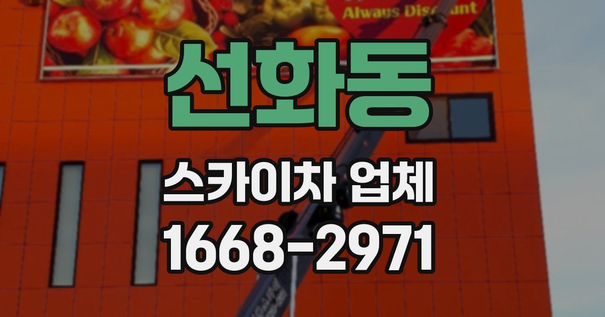 선화동 스카이차 업체