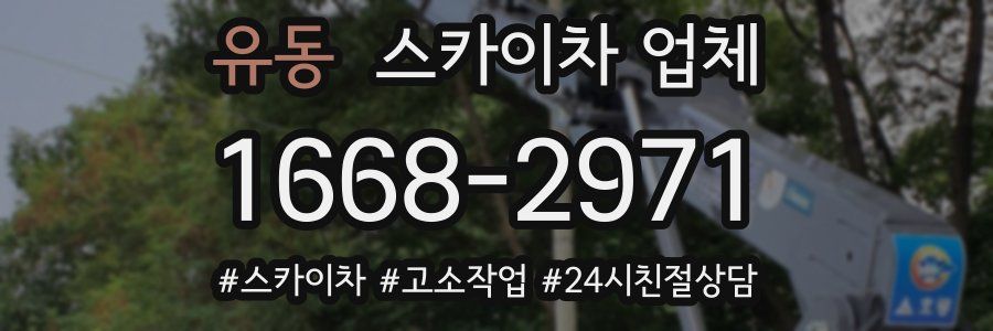 유동 스카이차 업체