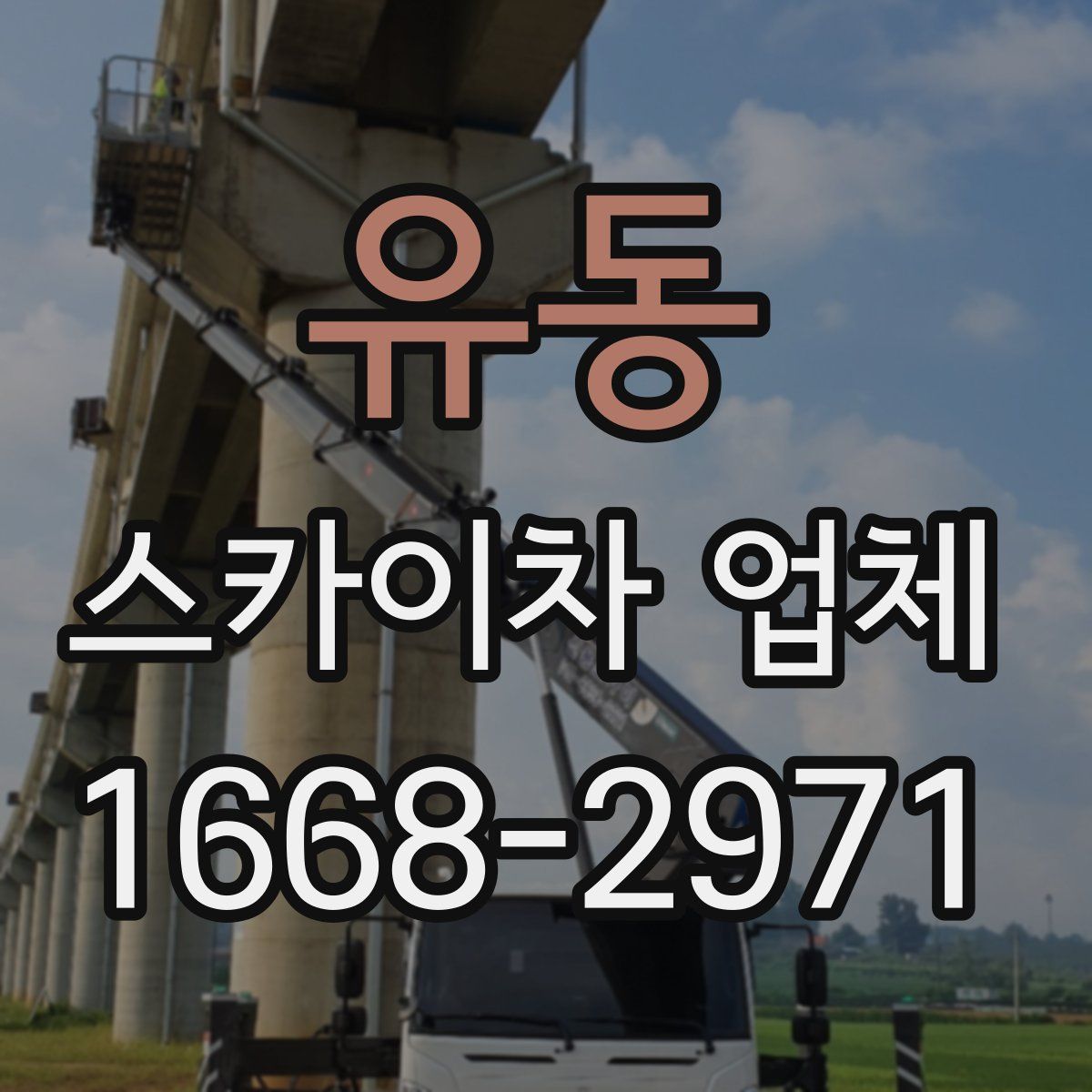 유동 스카이차 업체