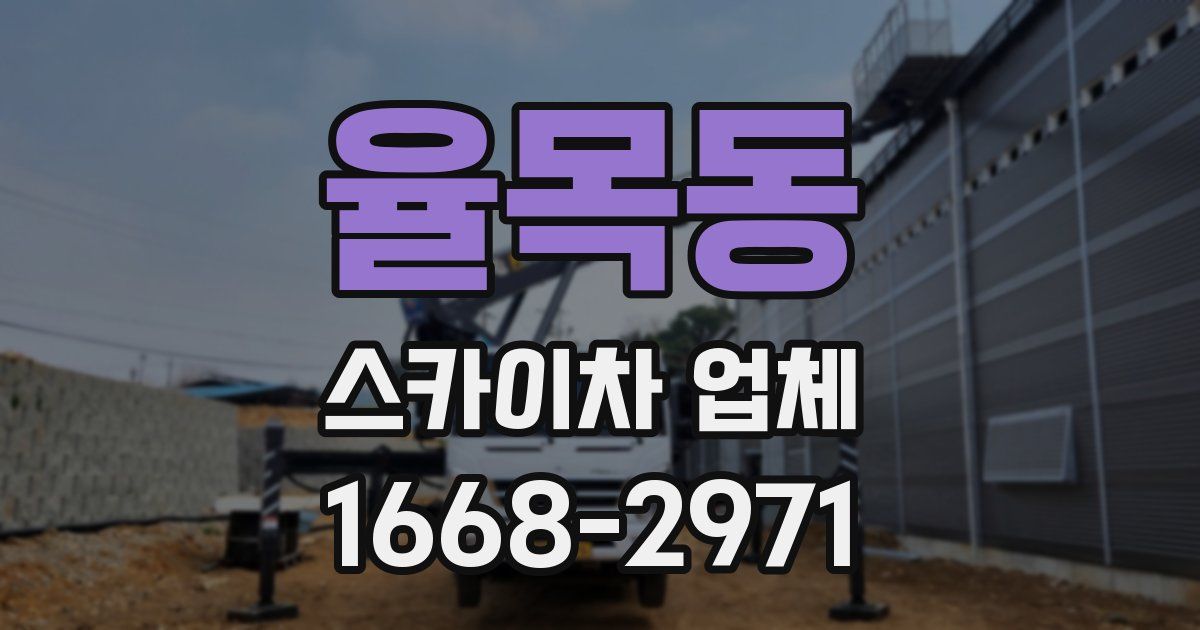 율목동 스카이차 업체