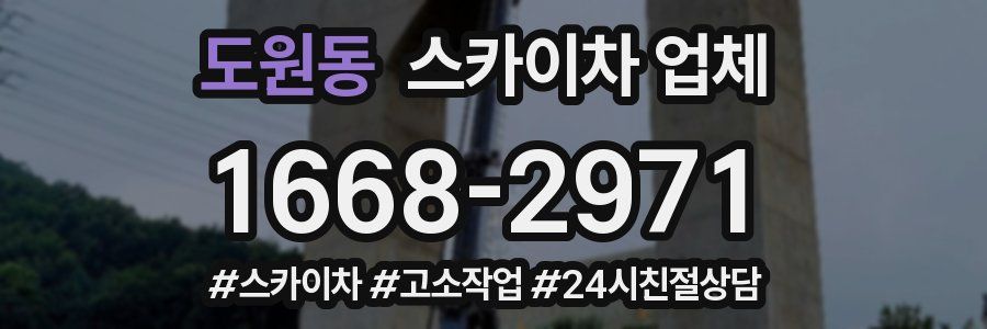 도원동 스카이차 업체