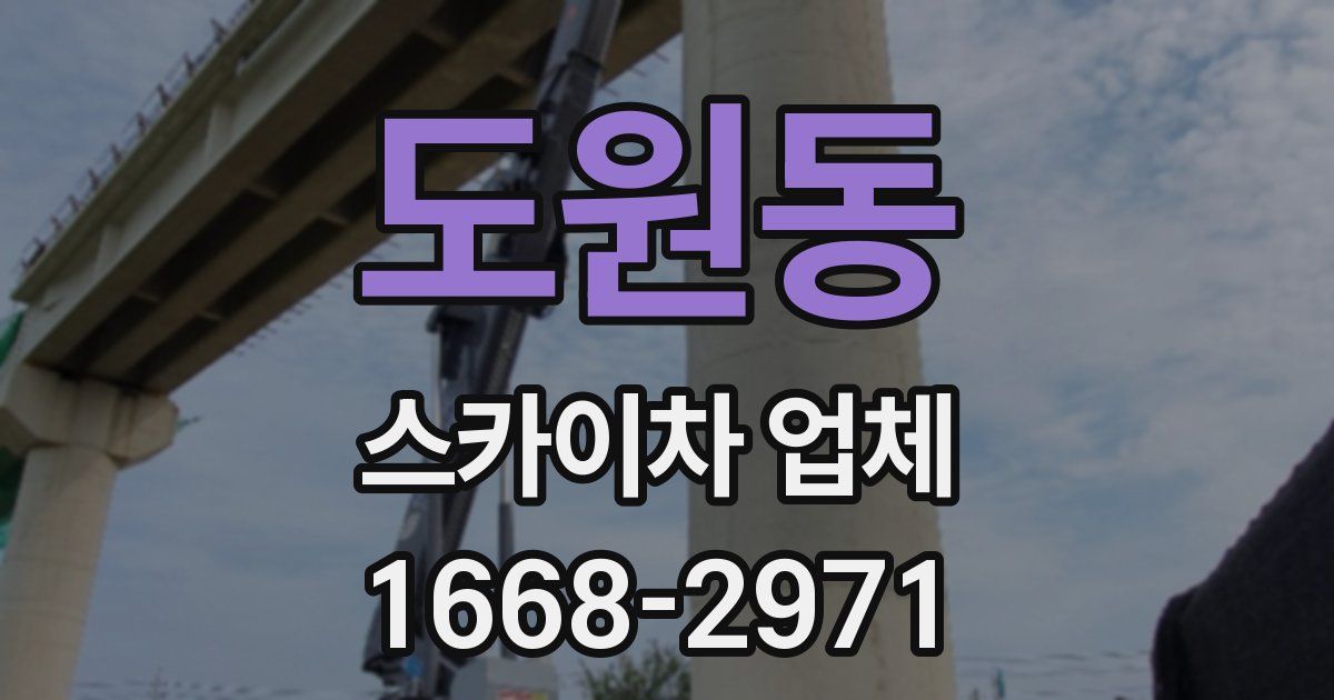 도원동 스카이차 업체