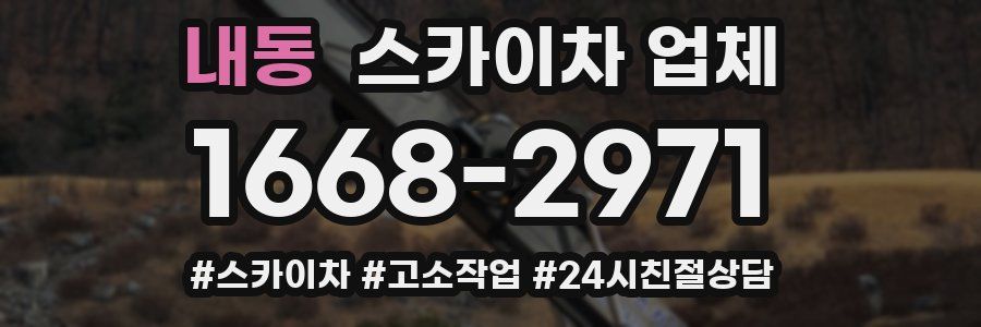 내동 스카이차 업체