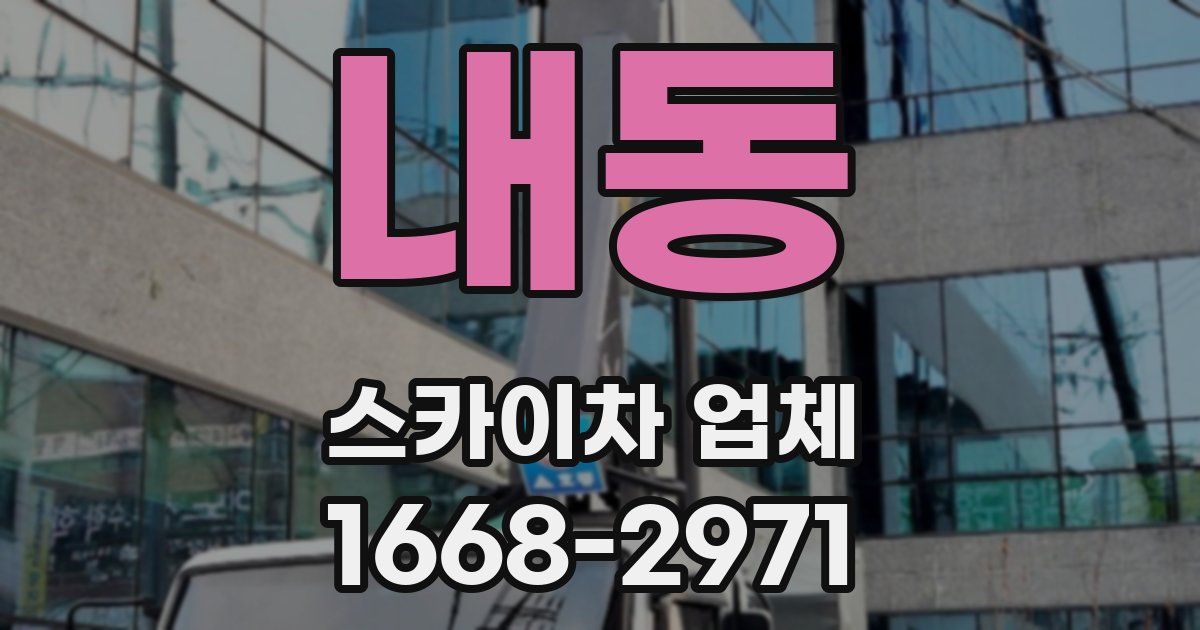 내동 스카이차 업체
