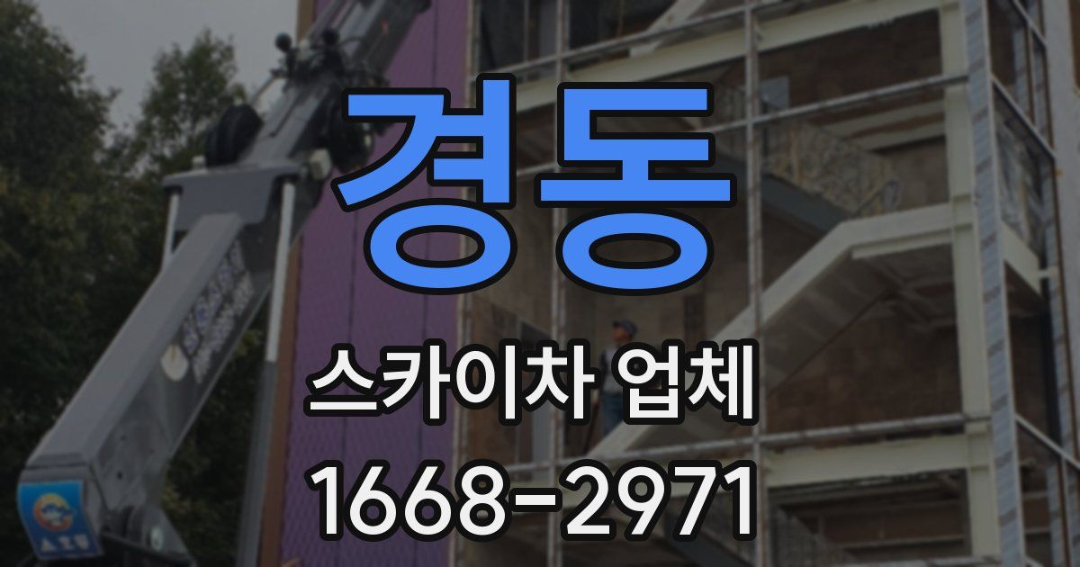 경동 스카이차 업체