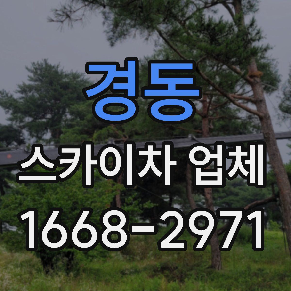 경동 스카이차 업체