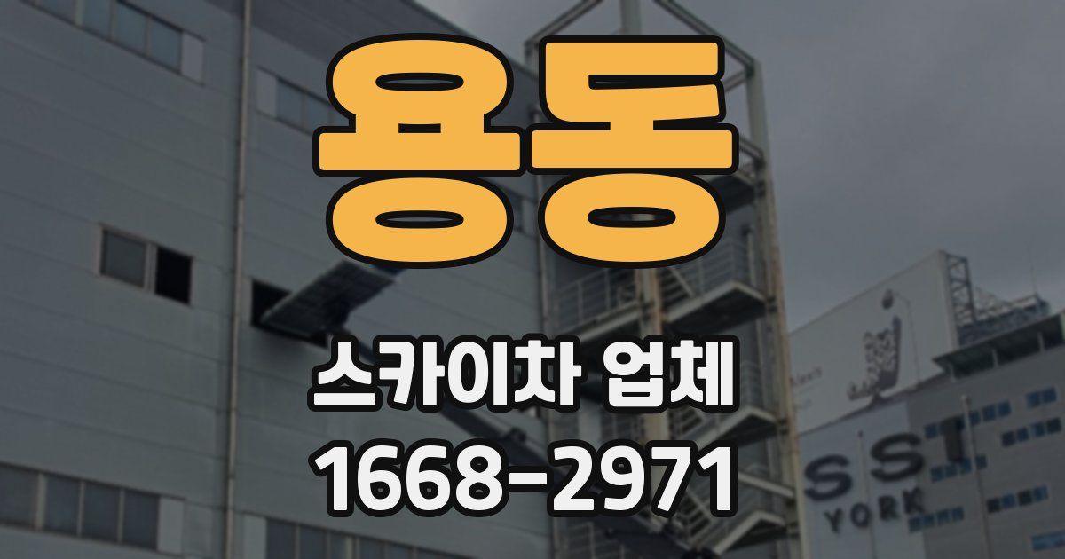 용동 스카이차 업체
