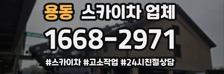 용동 스카이차 업체