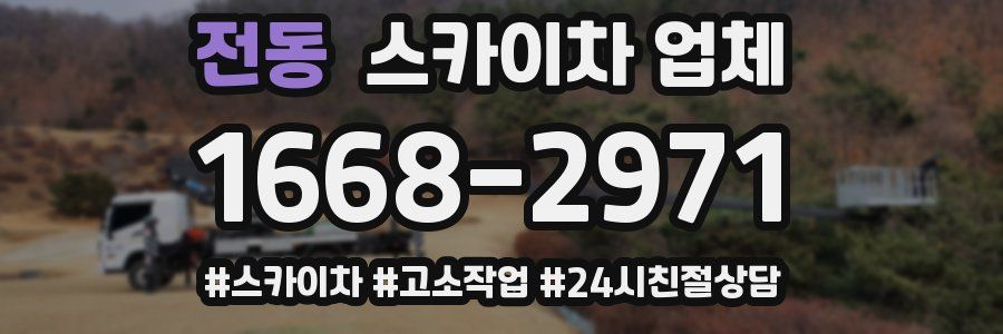 전동 스카이차 업체