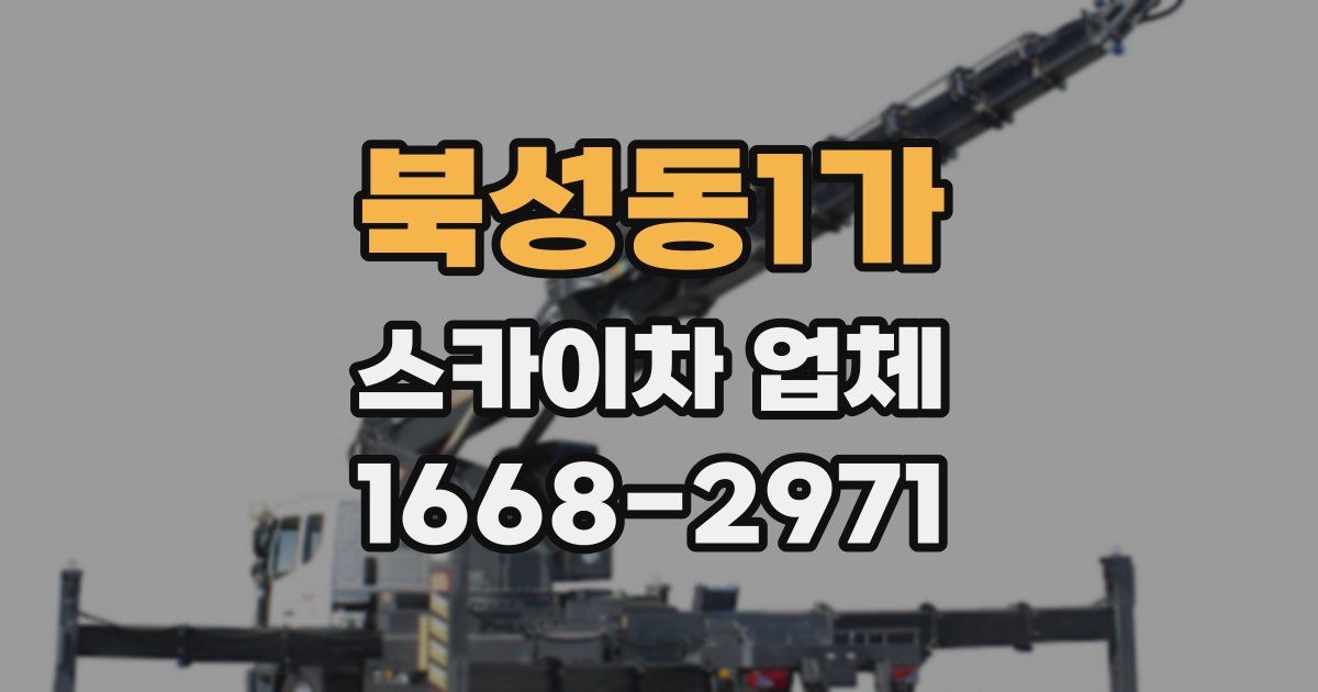 북성동1가 스카이차 업체