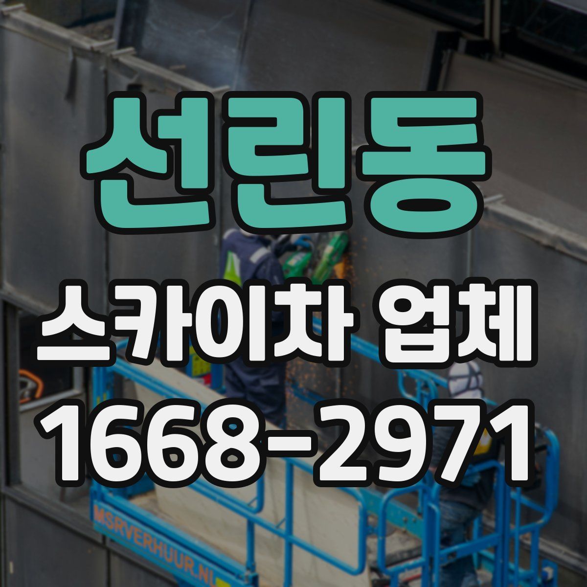 선린동 스카이차 업체