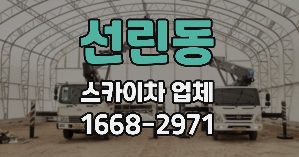 선린동 스카이차 업체